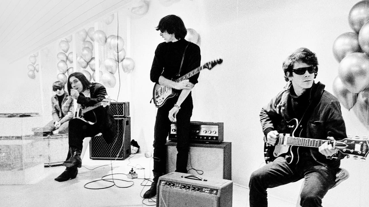 The Velvet Underground still 1
