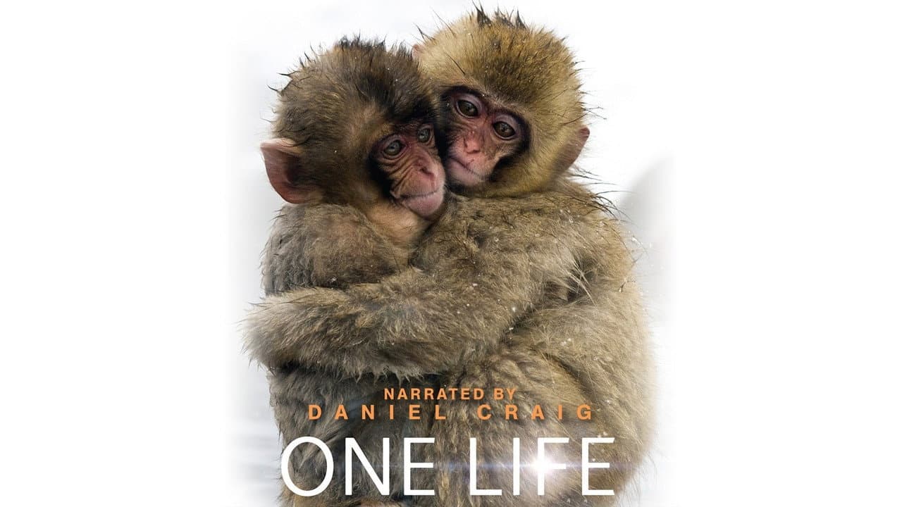 One Life still 1