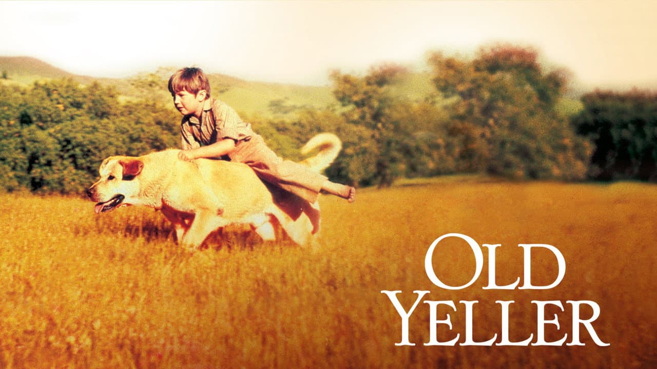Old Yeller still 2