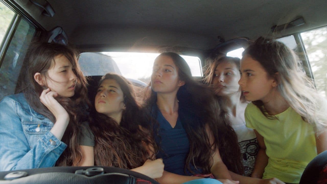 Mustang still 2