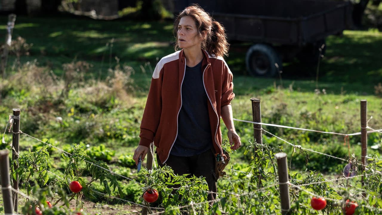 The Beasts still 5