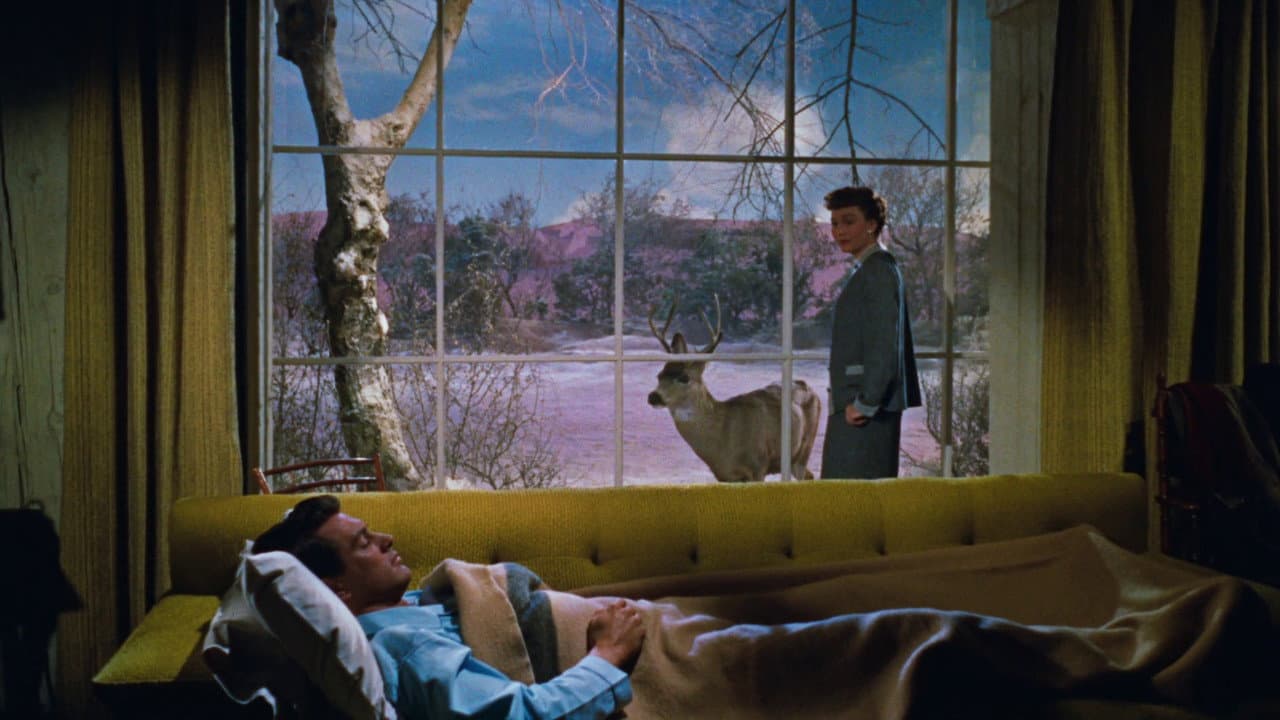 All That Heaven Allows still 3