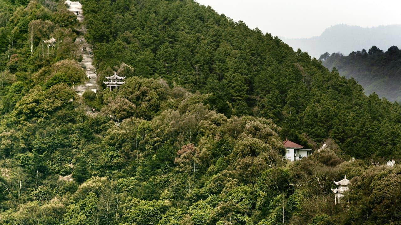 Dwelling in the Fuchun Mountains still 4