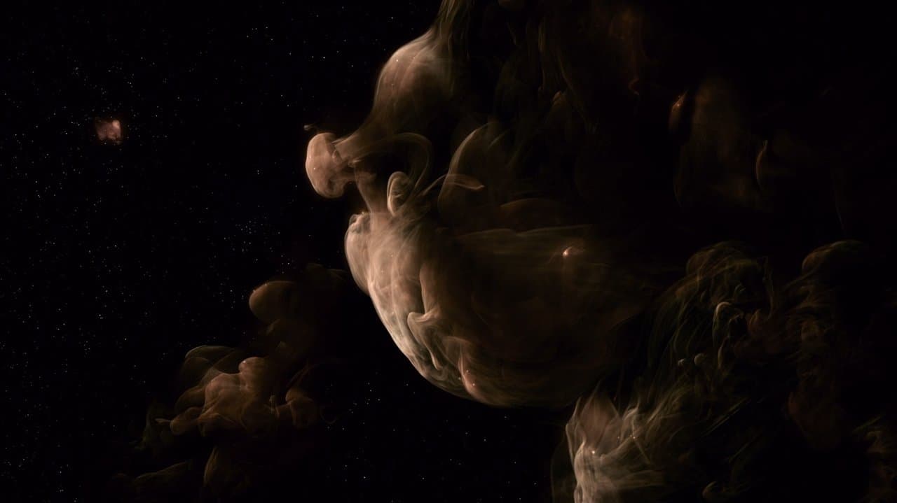 The Tree of Life still 3