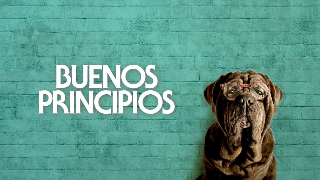 My Dog Stupid still 4