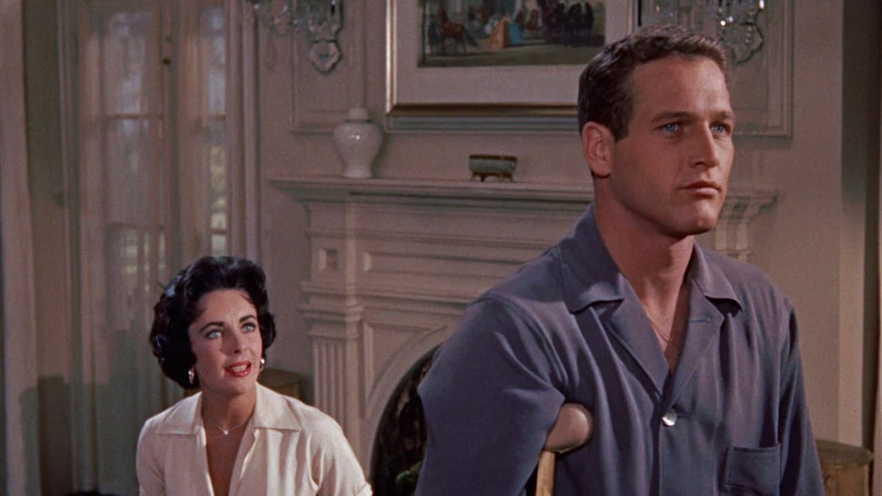 Cat on a Hot Tin Roof still 1