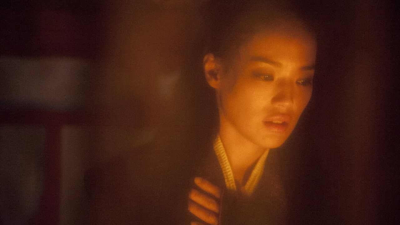 The Assassin still 5