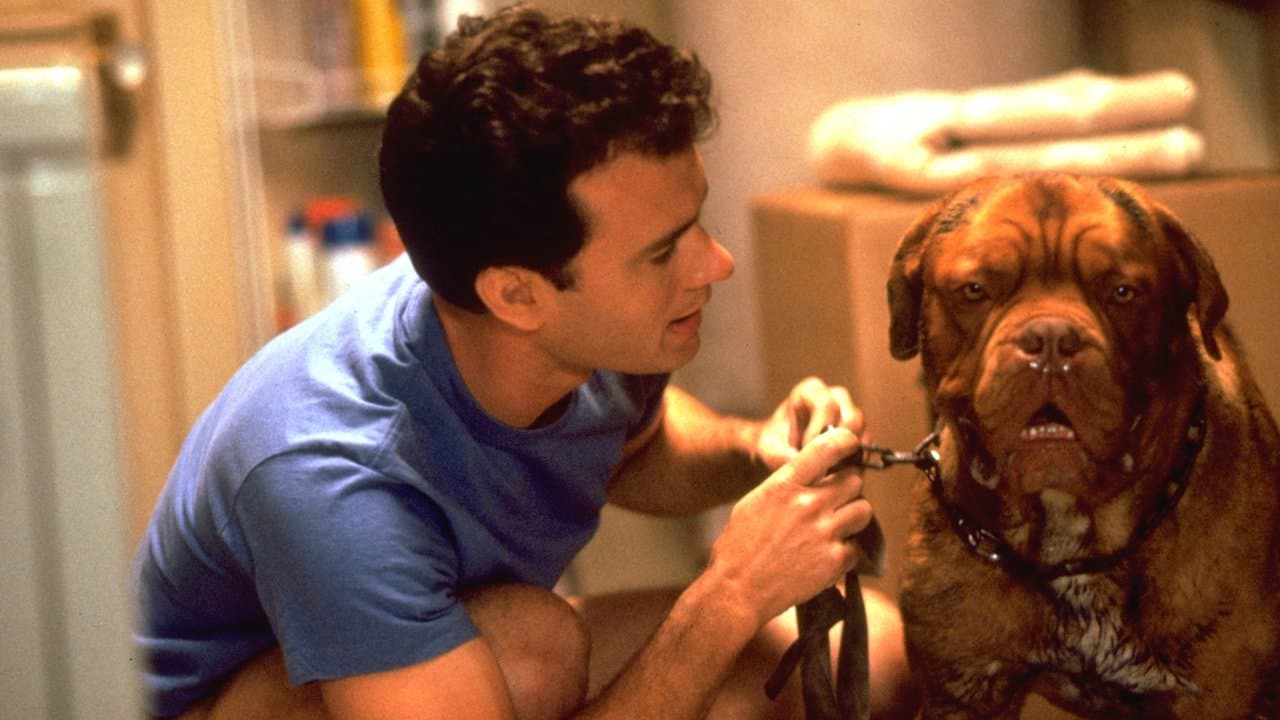 Turner & Hooch still 7