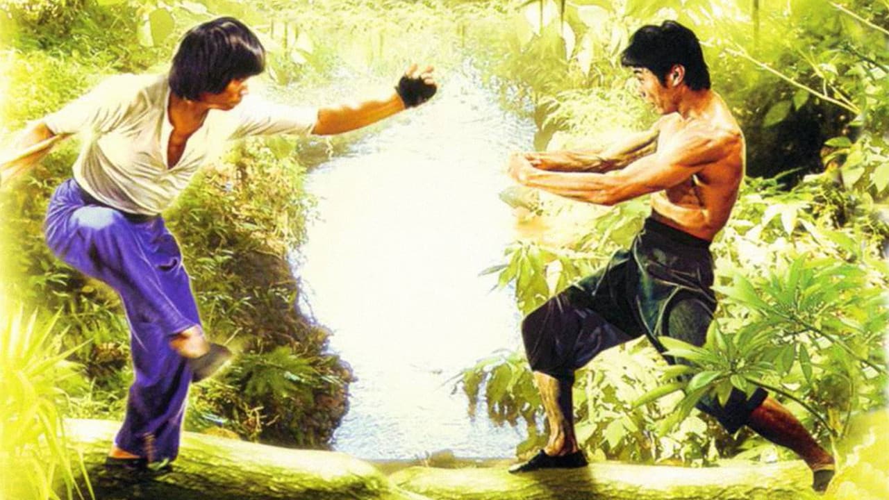 Mad Monkey Kung Fu still 7
