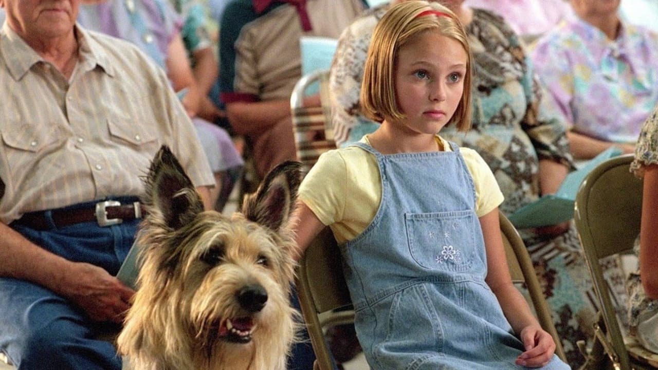 Because of Winn-Dixie still 3