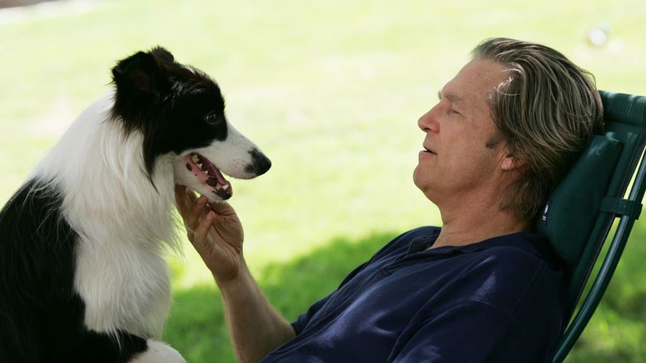 A Dog Year still 1