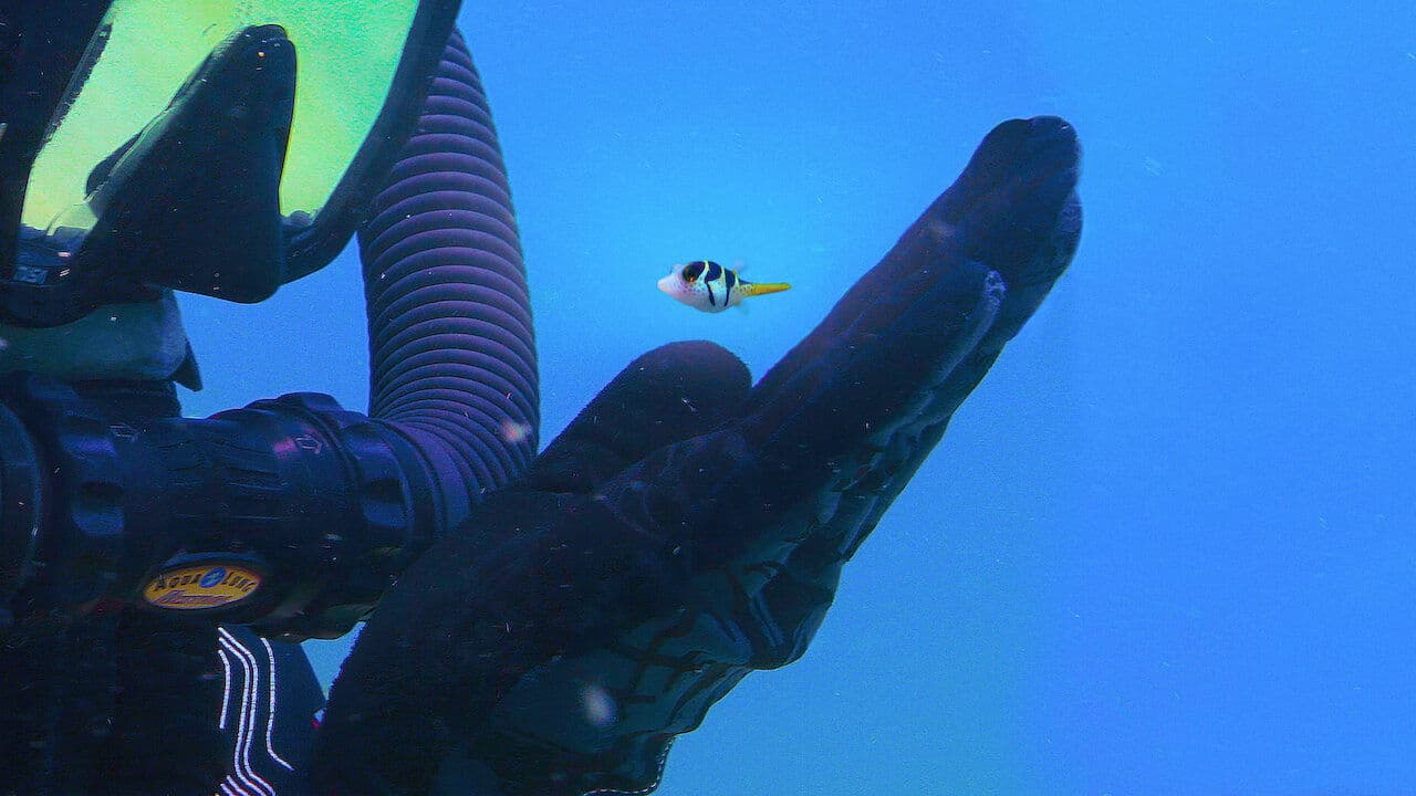Puff: Wonders of the Reef still 1
