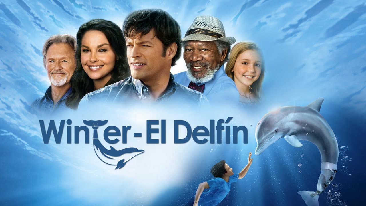 Dolphin Tale still 4
