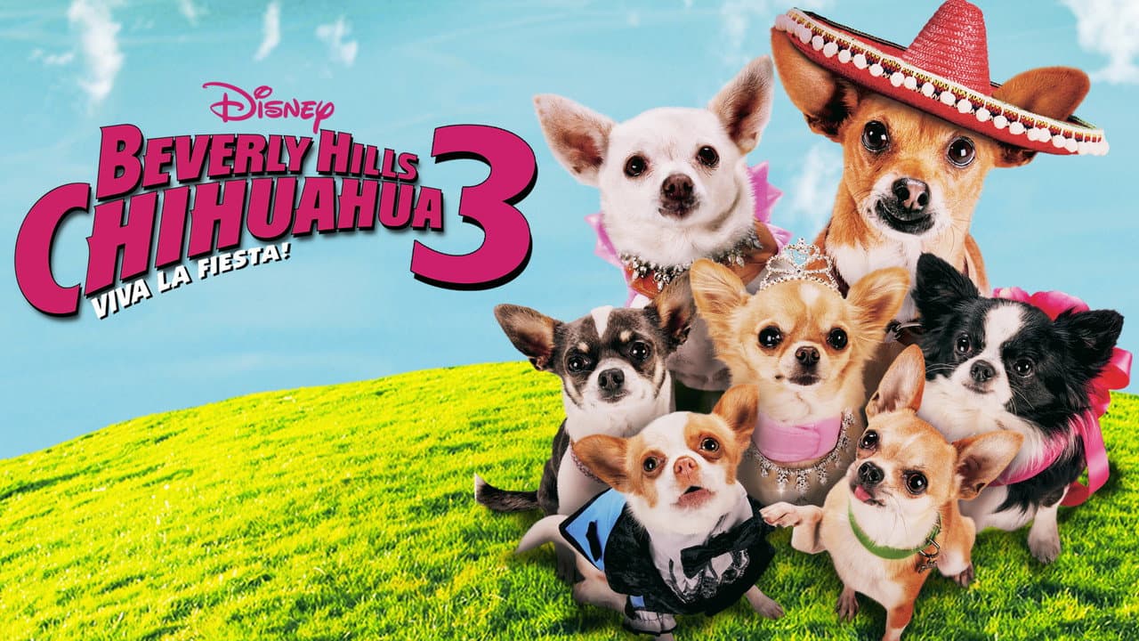 Beverly Hills Chihuahua 3: Viva la Fiesta! still 4
