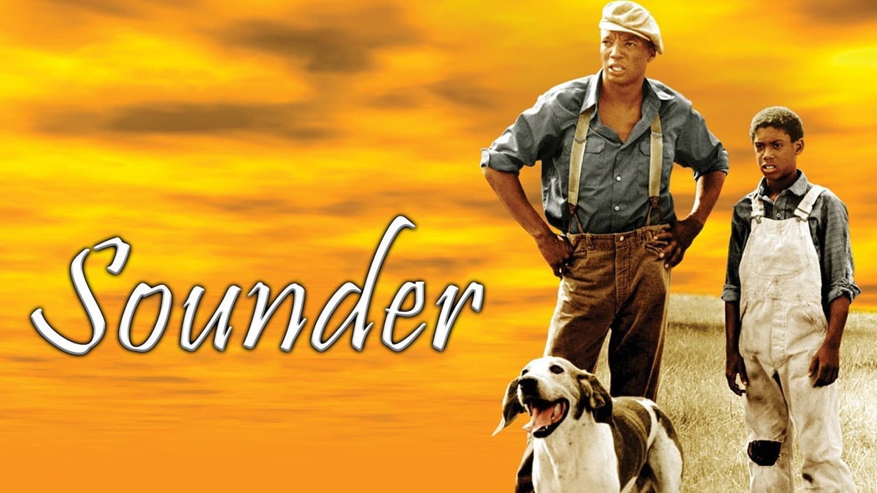 Sounder still 5