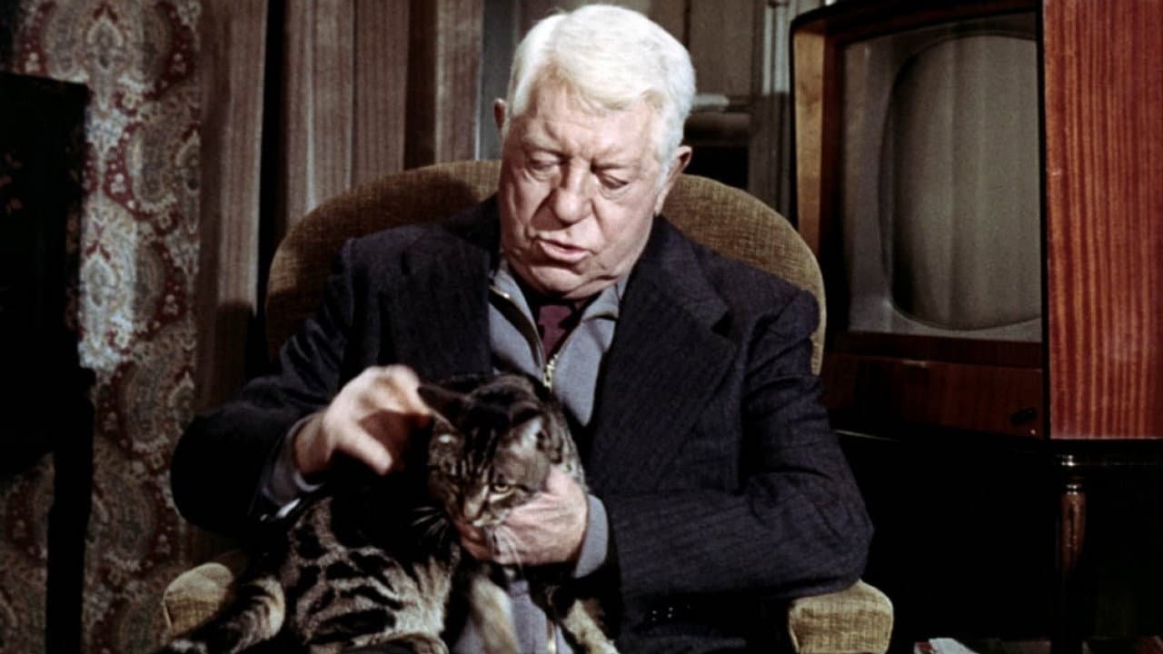 The Cat still 7