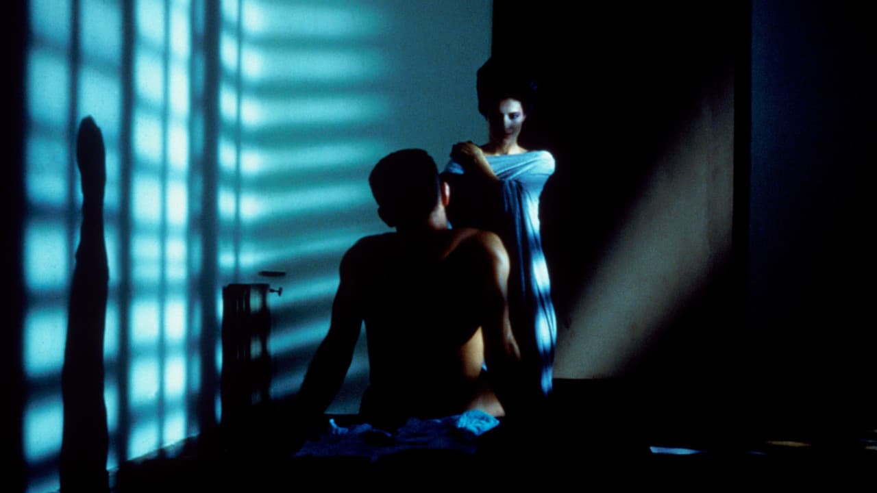 Matador still 3