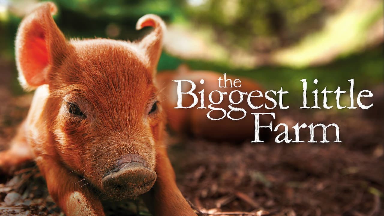 The Biggest Little Farm still 8