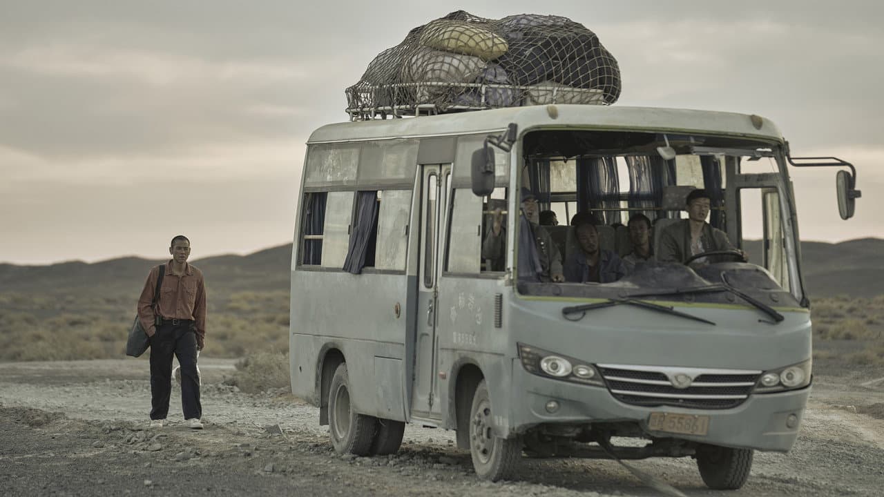 Black Dog still 8