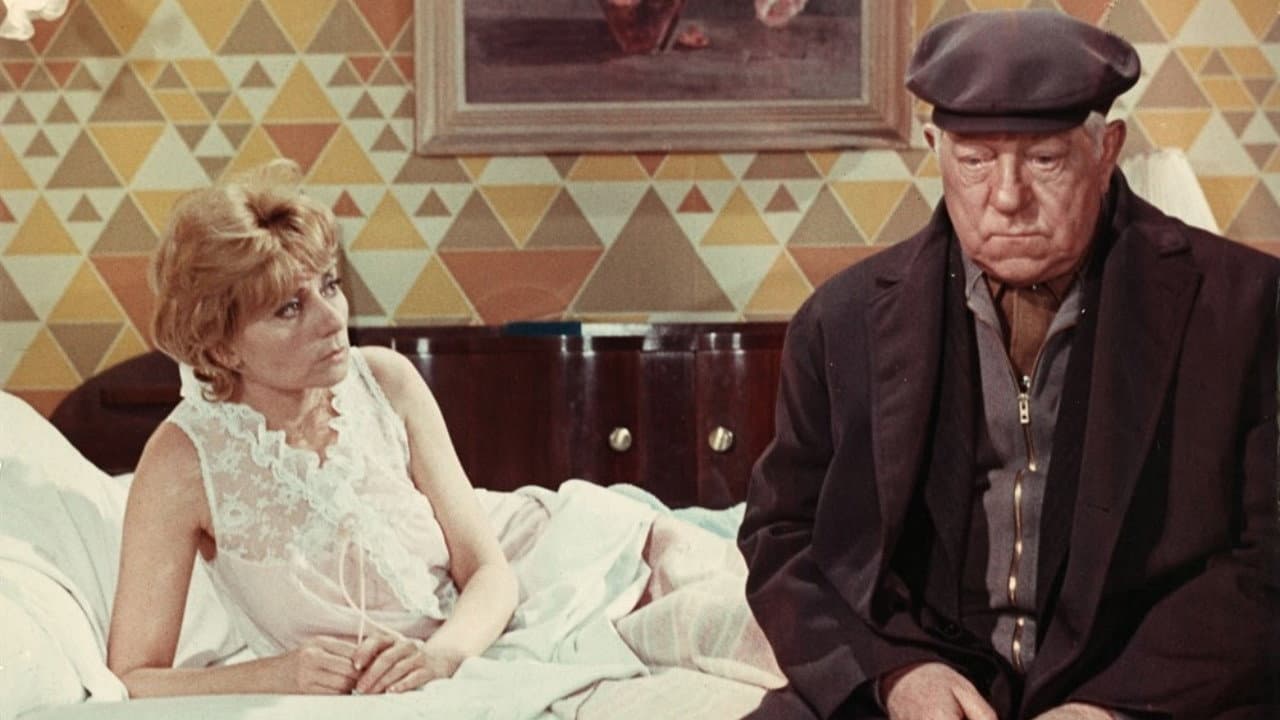 The Cat still 5
