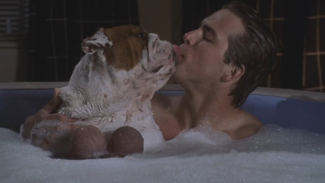 National Lampoon's Van Wilder still 4