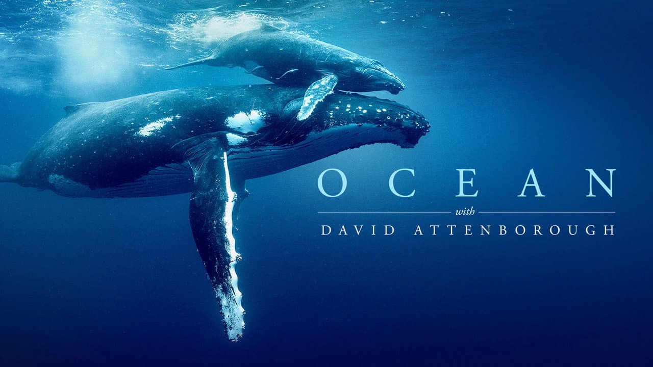 Ocean with David Attenborough still 4