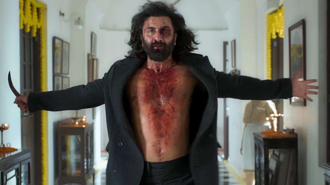 Animal still 2