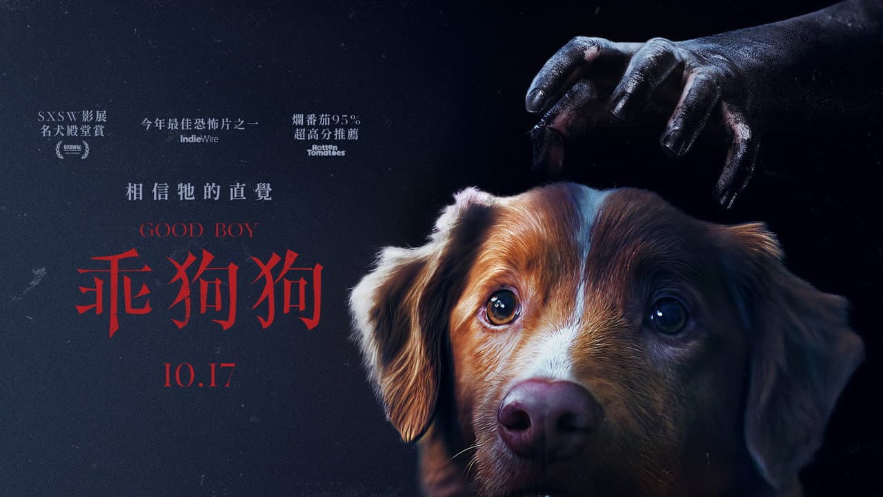 Good Boy still 3