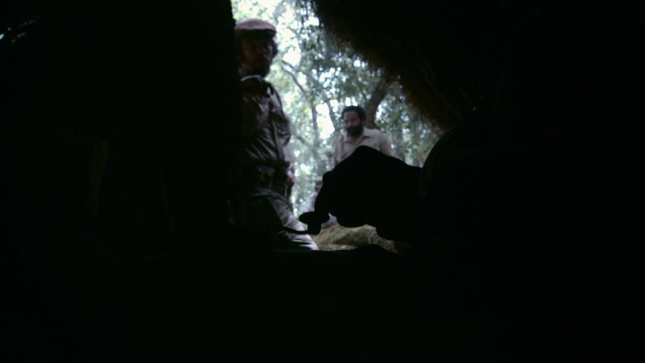 Che: Part Two still 8