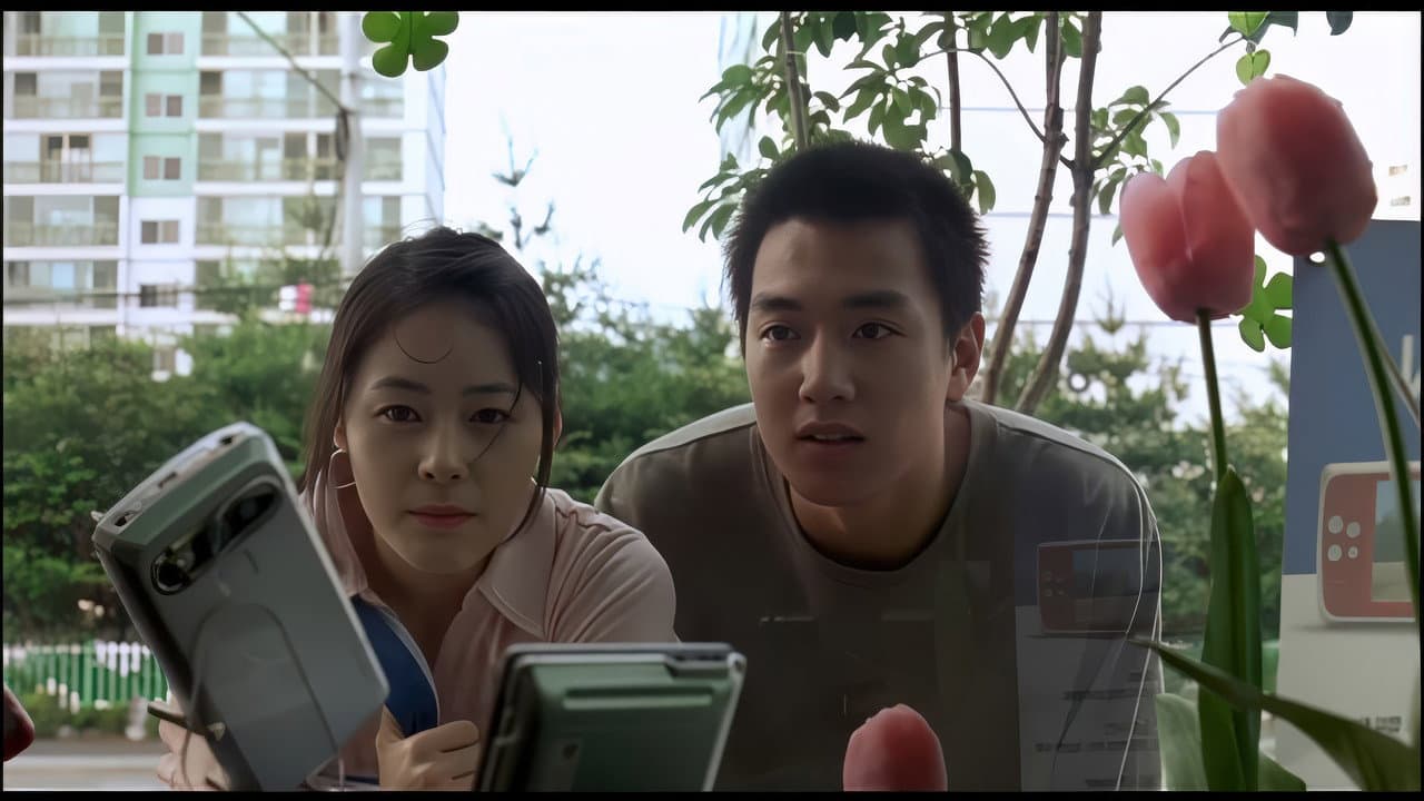 Sunflower still 6