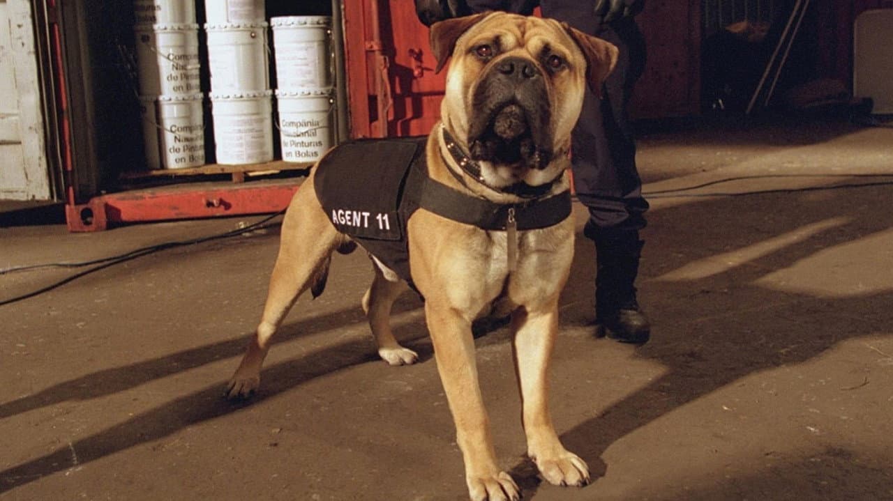 See Spot Run still 7