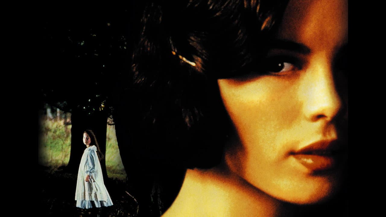 Haunted still 6
