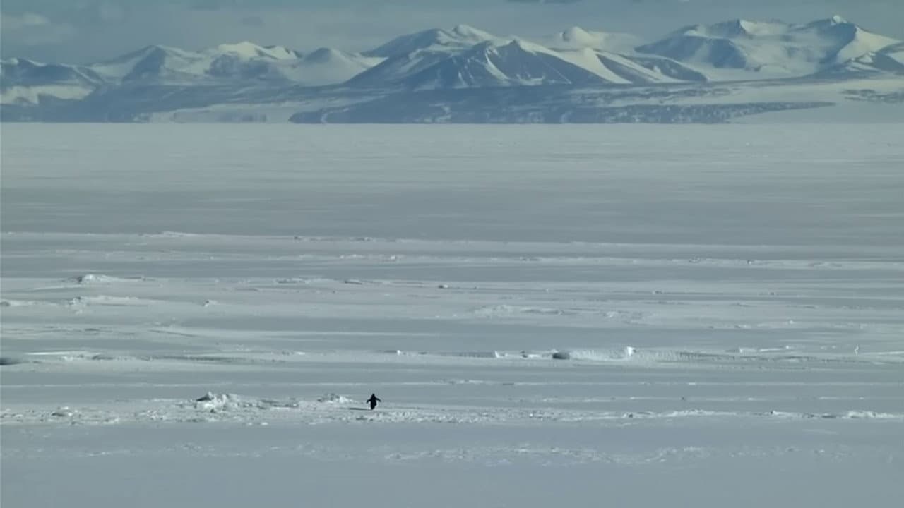 Encounters at the End of the World still 2