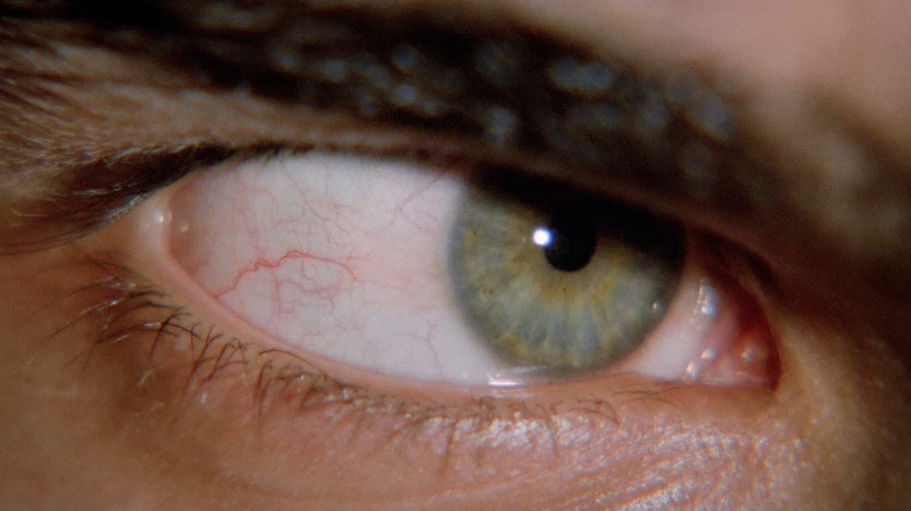 The Bloodstained Shadow still 3