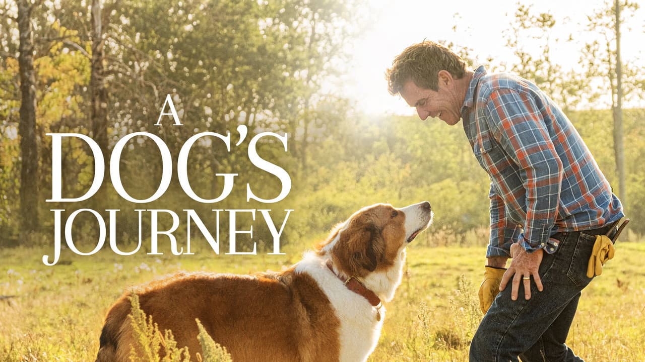 A Dog's Journey still 6