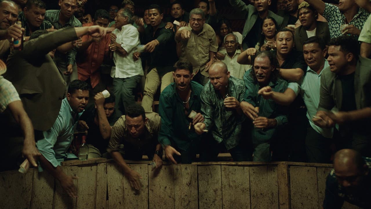 Pimpinero: Blood and Oil still 3
