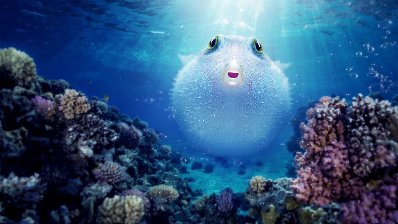 Puff: Wonders of the Reef still 2
