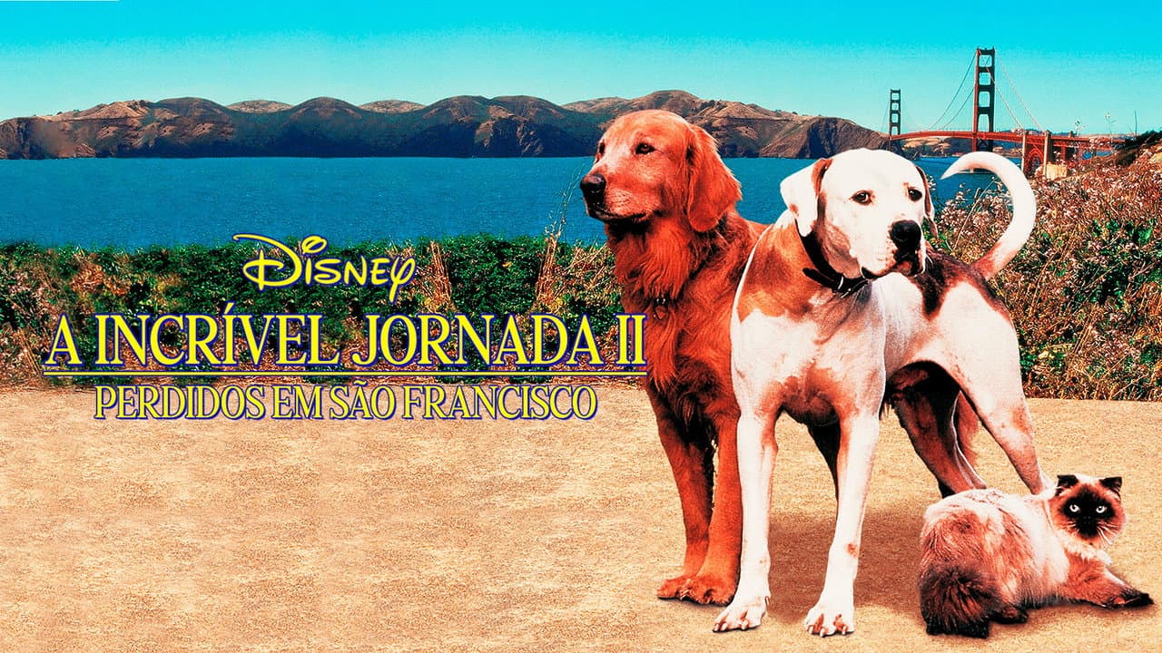 Homeward Bound II: Lost in San Francisco still 6