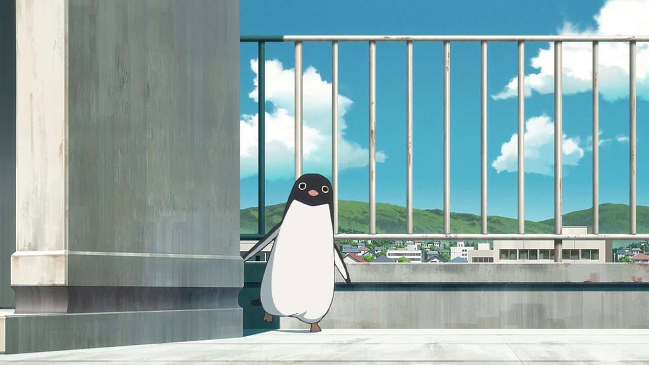 Penguin Highway still 6