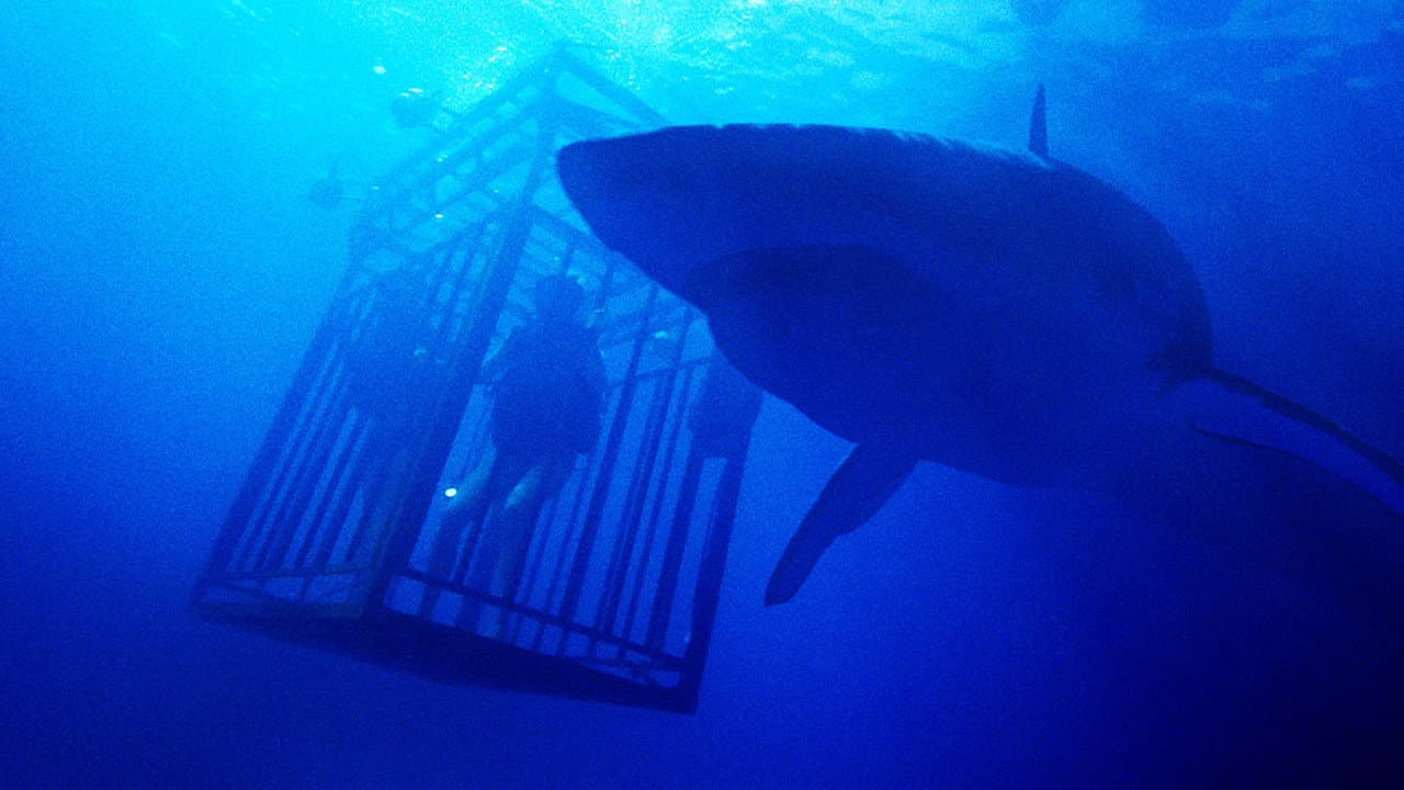 47 Meters Down still 7