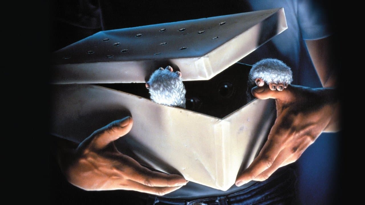 New Gremlins Movie Delayed Nearly a Full Year still 2