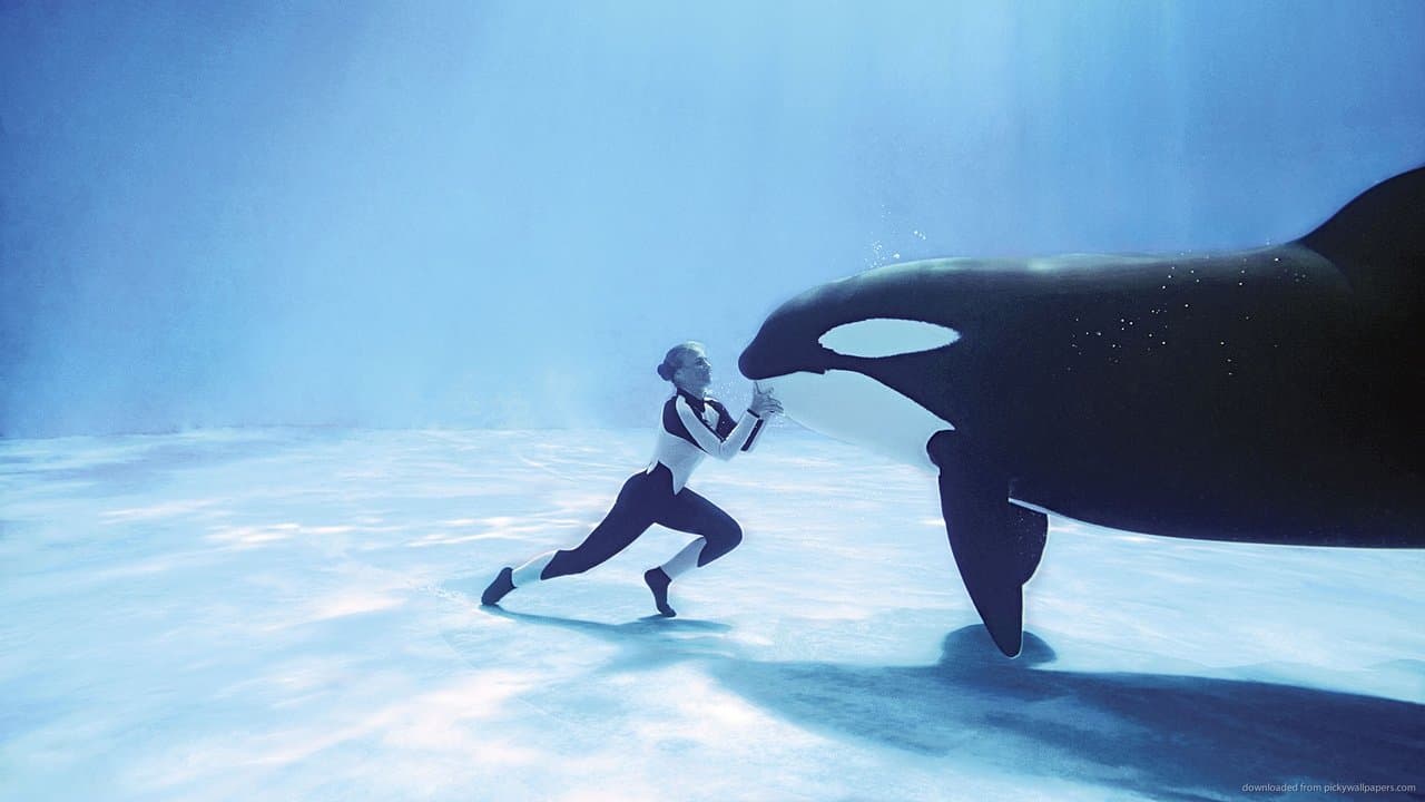 Blackfish still 1