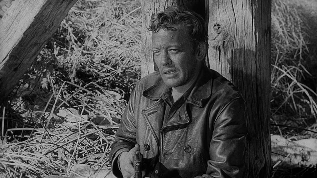 The Hitch-Hiker still 2