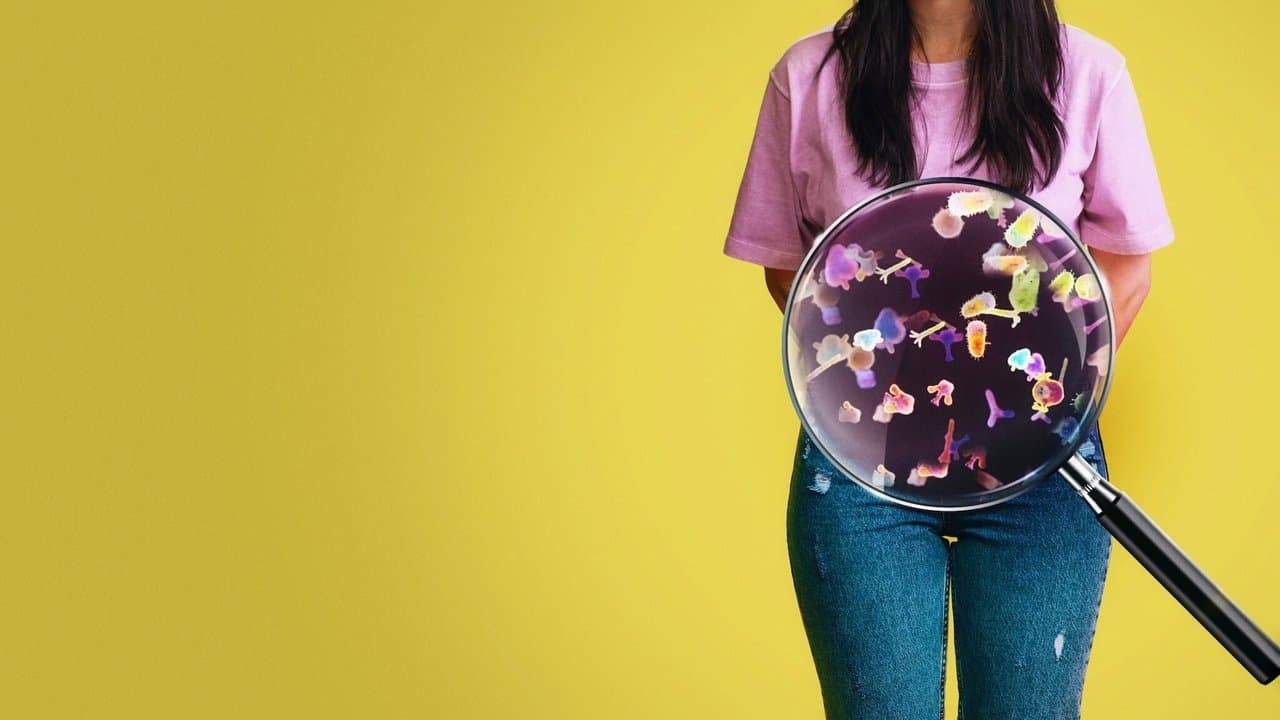 Hack Your Health: The Secrets of Your Gut still 2