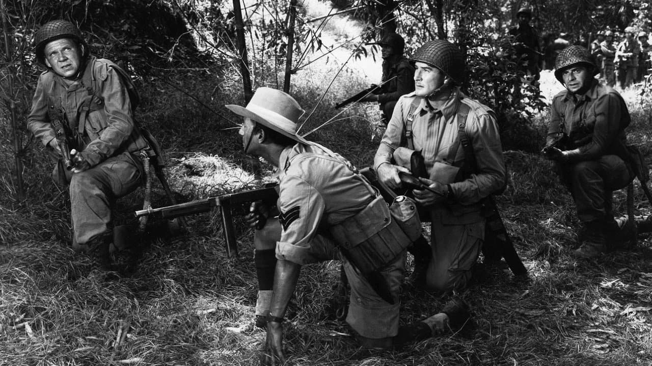 Objective, Burma! still 5