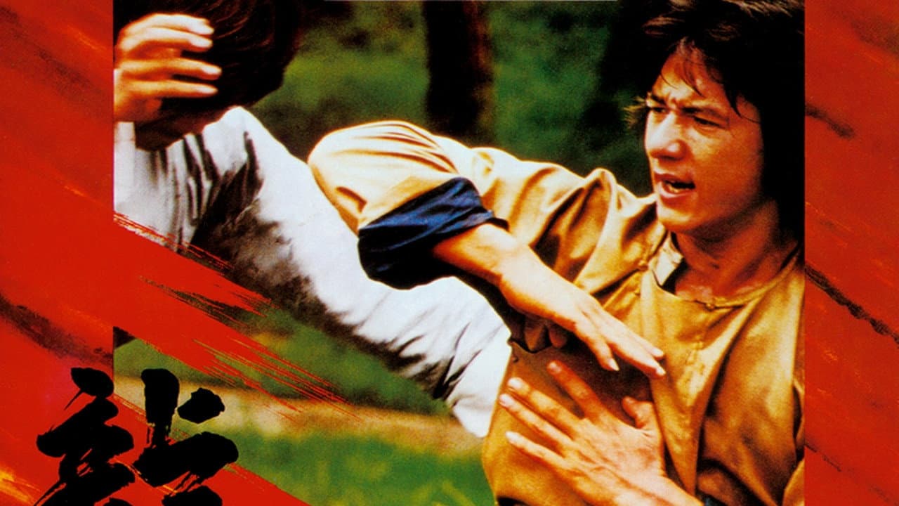 Dragon Fist still 8