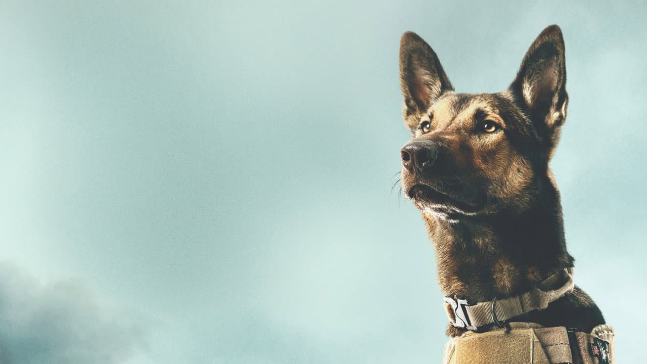 Max still 7