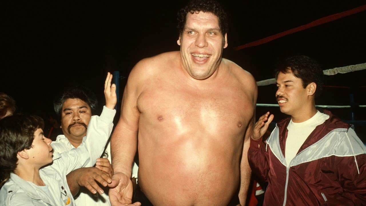 Andre the Giant still 4