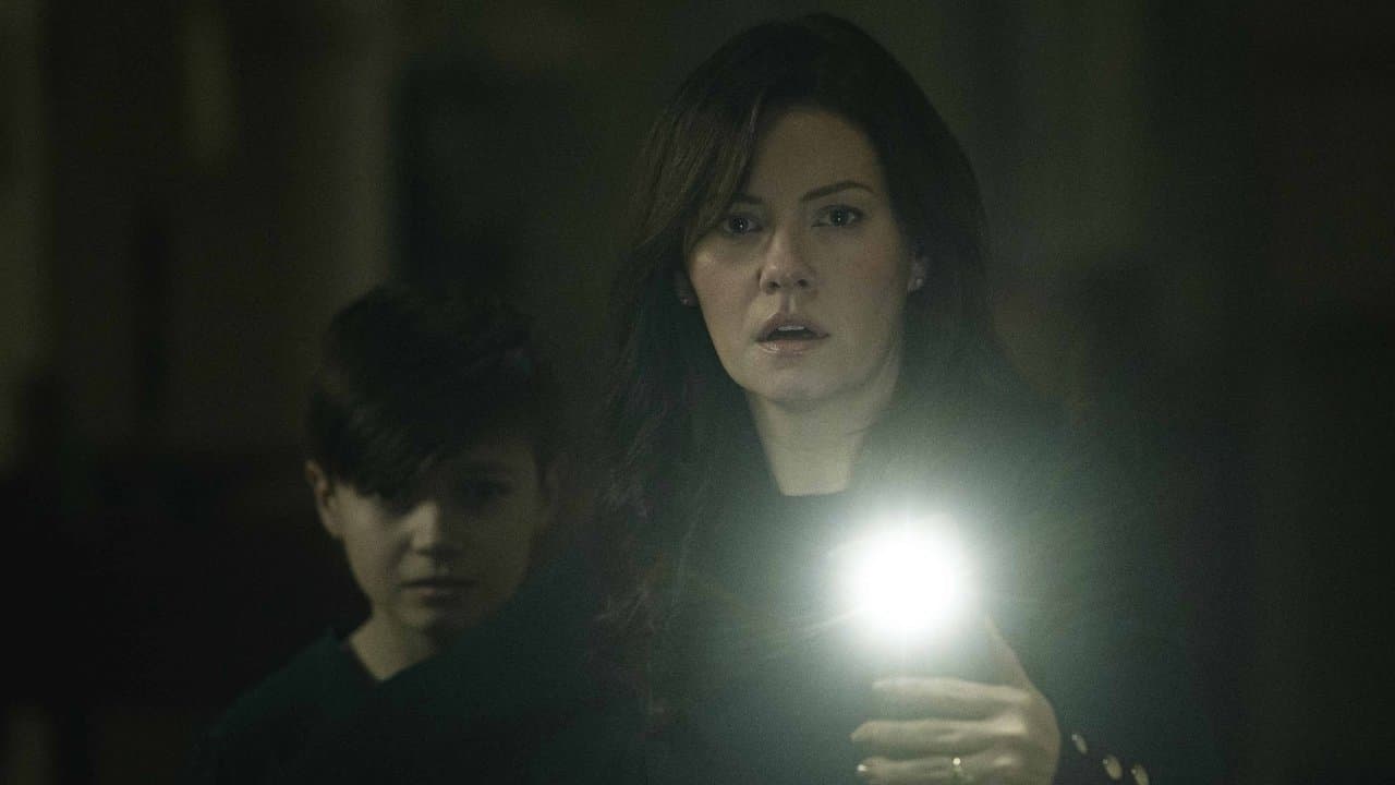 The Cellar still 4