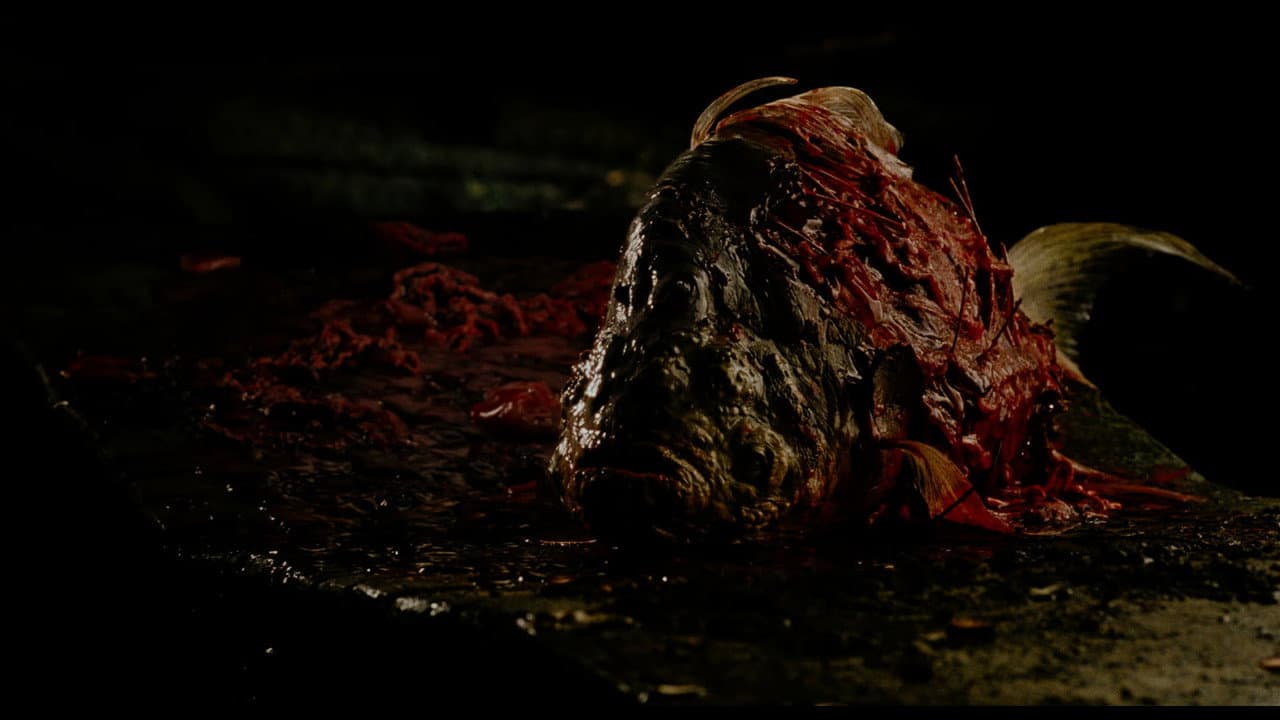 Maelström still 3